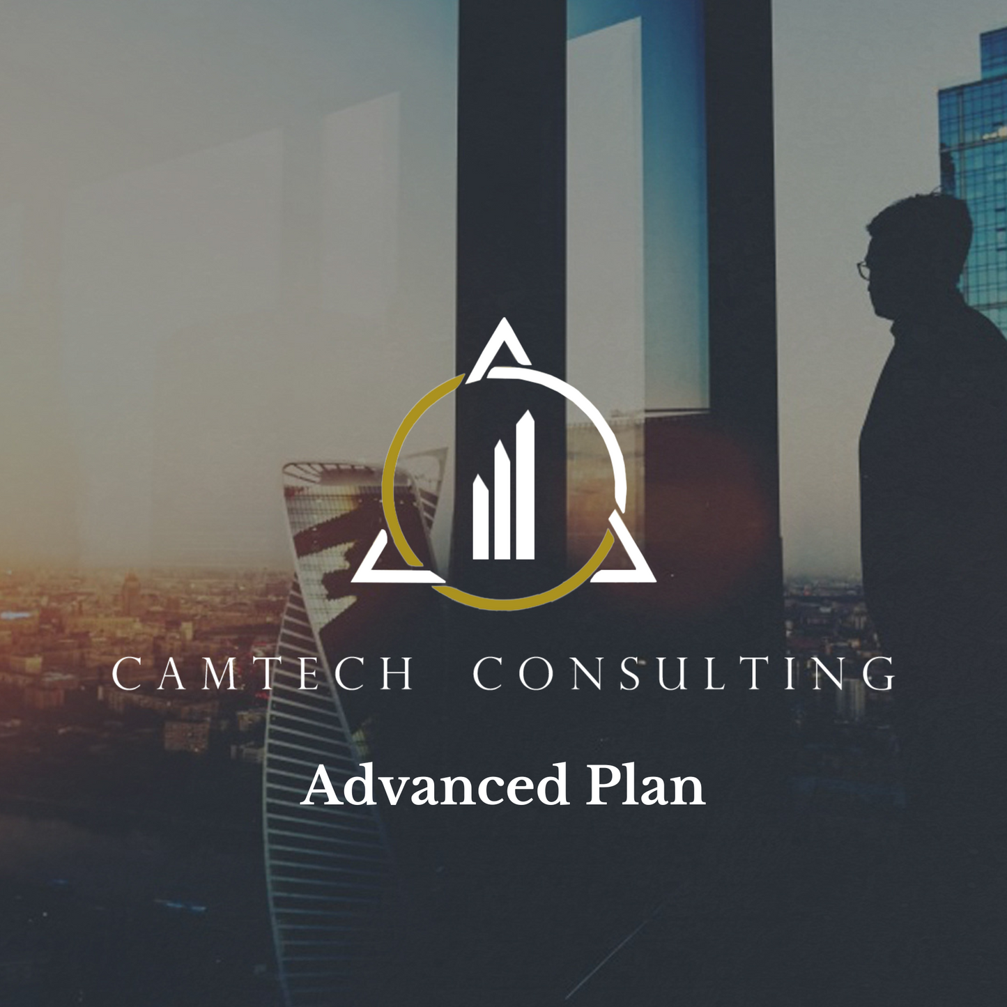 Business Optimizer