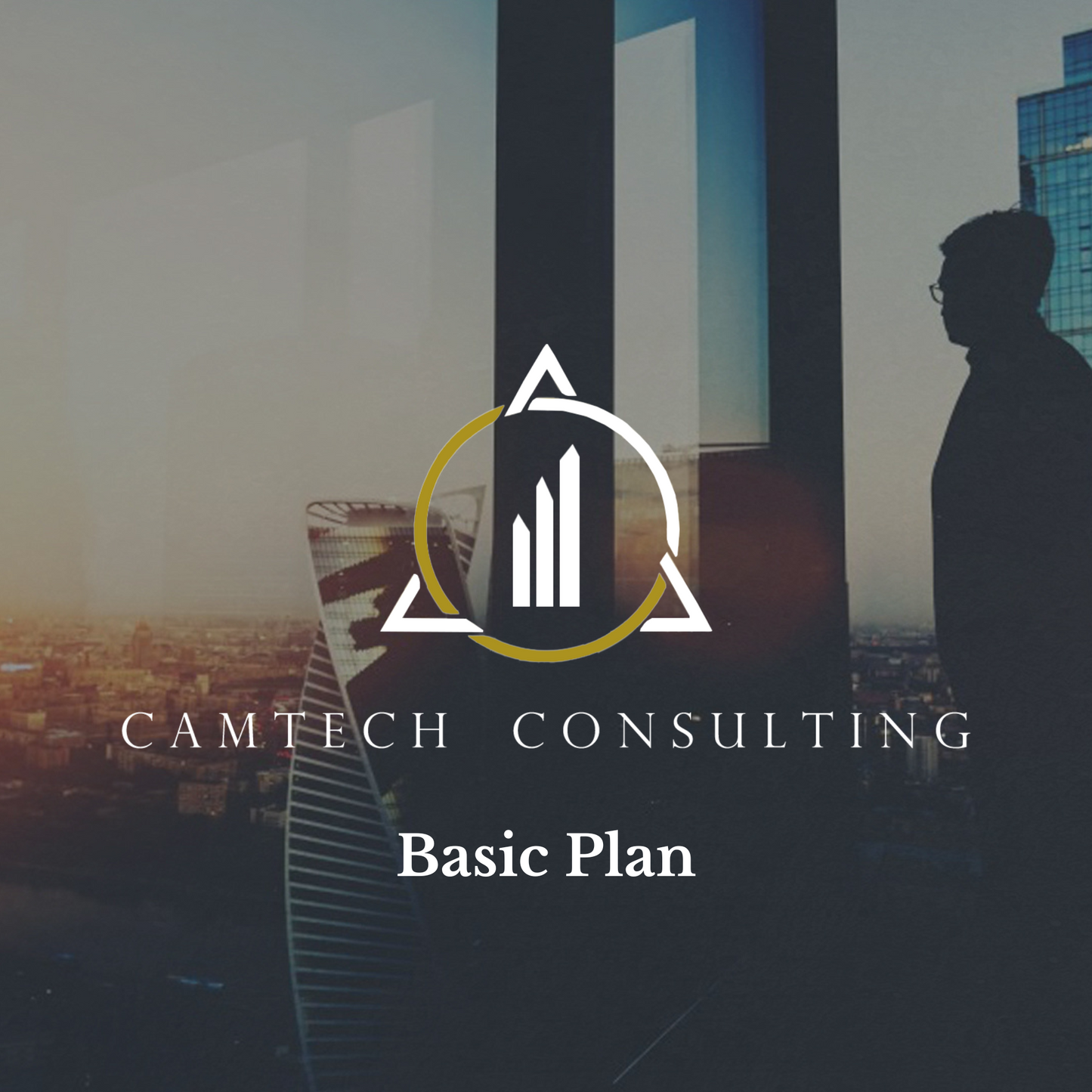 Business Optimizer