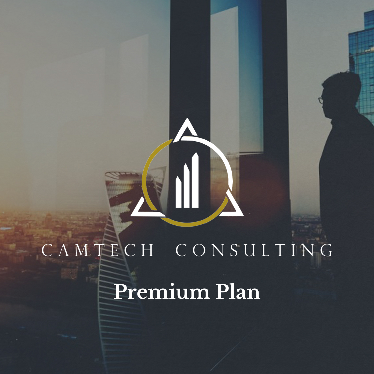 Business Optimizer