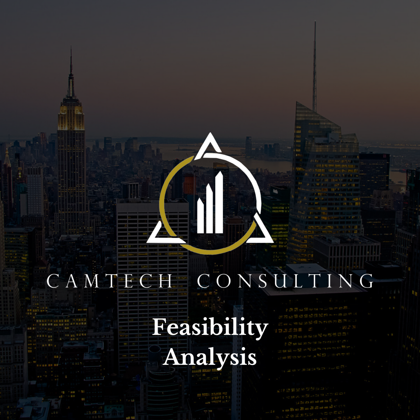 New Business Consulting