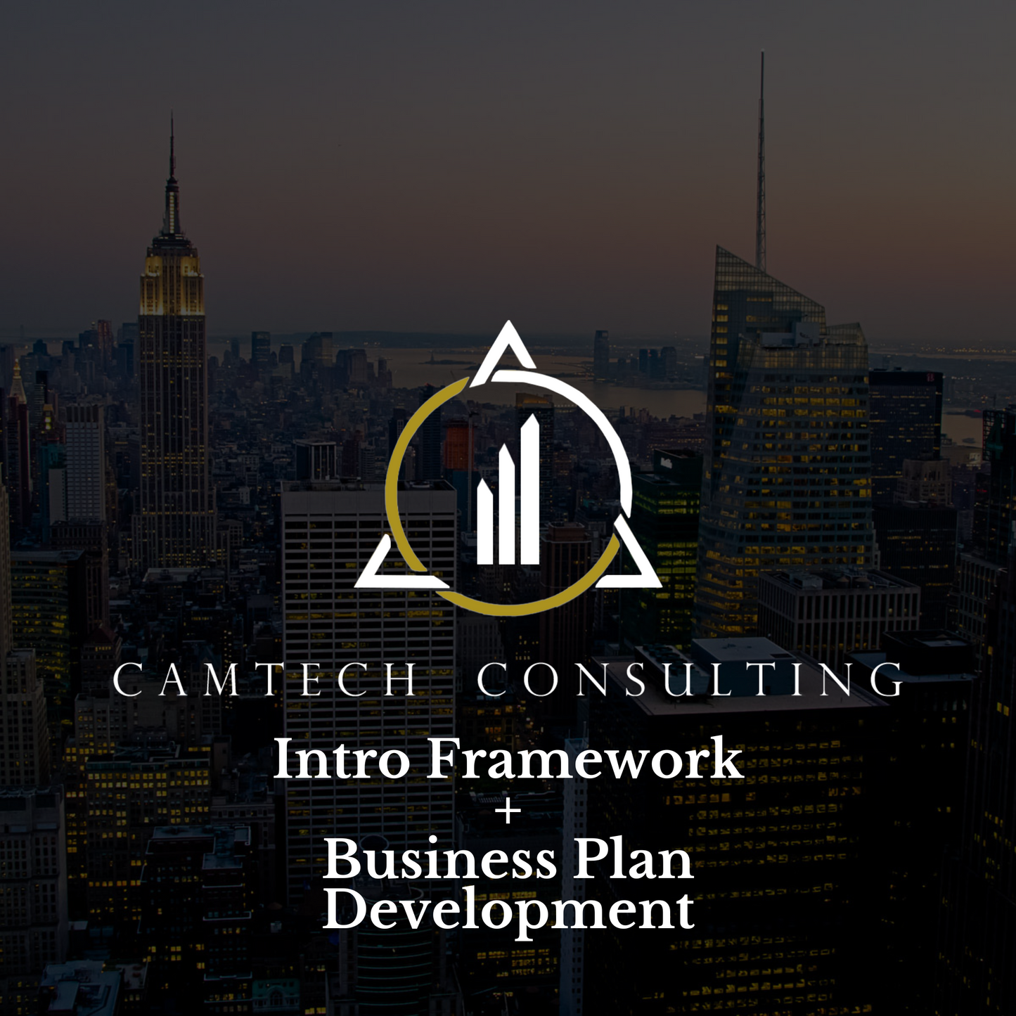 New Business Consulting
